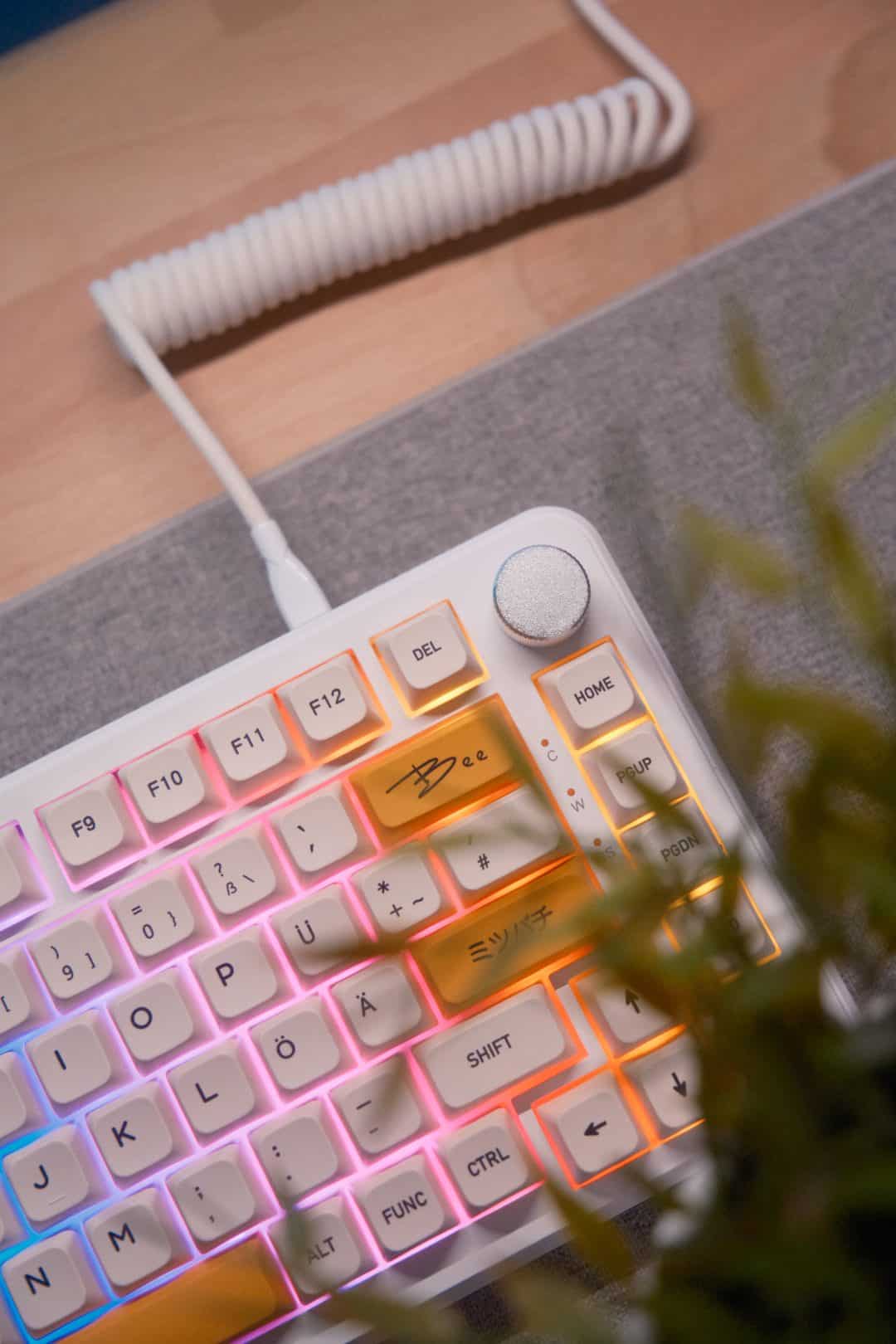 FujiFux Fujifilm Recipe Social Network - DSCF3451