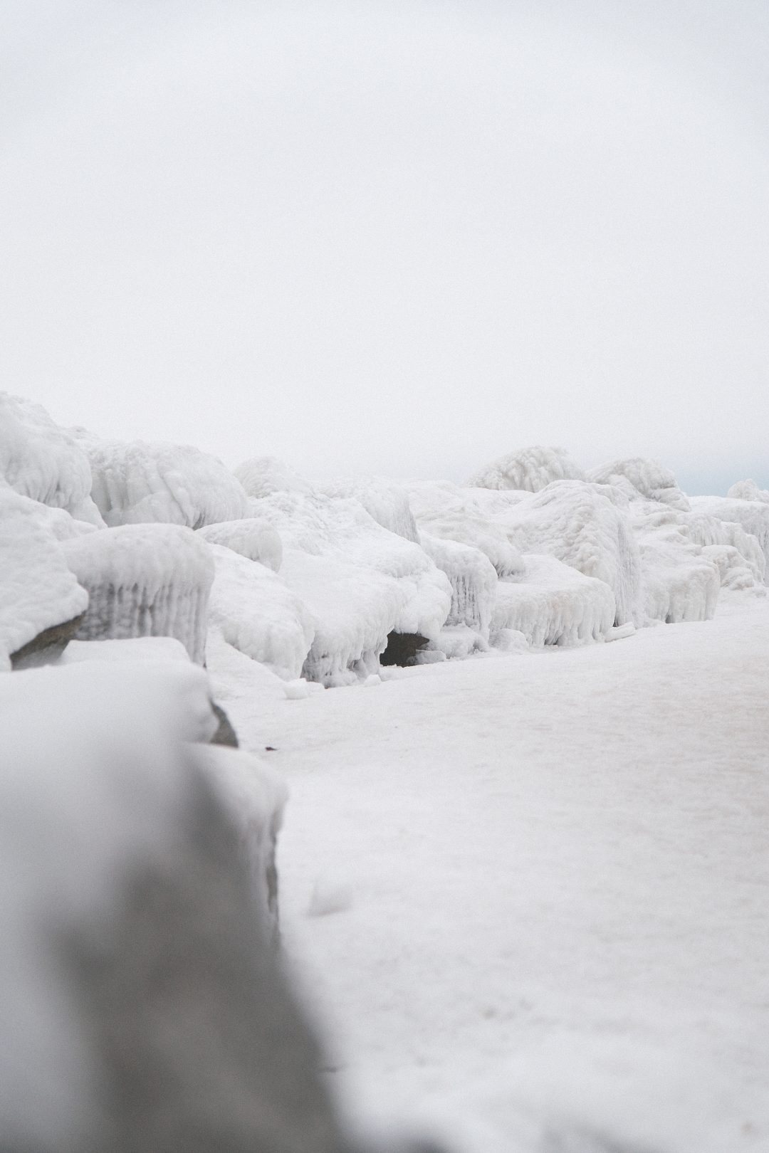 FujiFux Fujifilm Recipe Social Network - DSCF3625